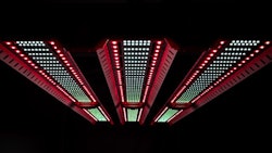 ETS MAX Horticultural Grow Light