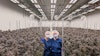 AtlantiCann Medical Inc. Garden Managers Rhaea Lacroix (right) and Kristine Chinner (left). The pair has completed more than 275 harvests at the company.