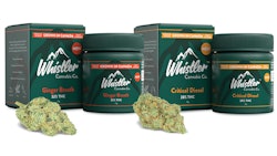 Aurora Cannabis Inc Aurora Ignites Global Expansion With Whistl