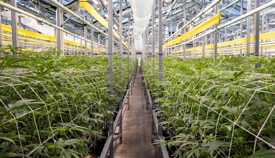 photo of AYR Wellness’ Massachusetts Exit Includes 4 Dispensaries, 157 Layoffs image