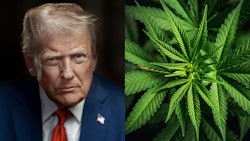 Donald Trump Portrait Merged