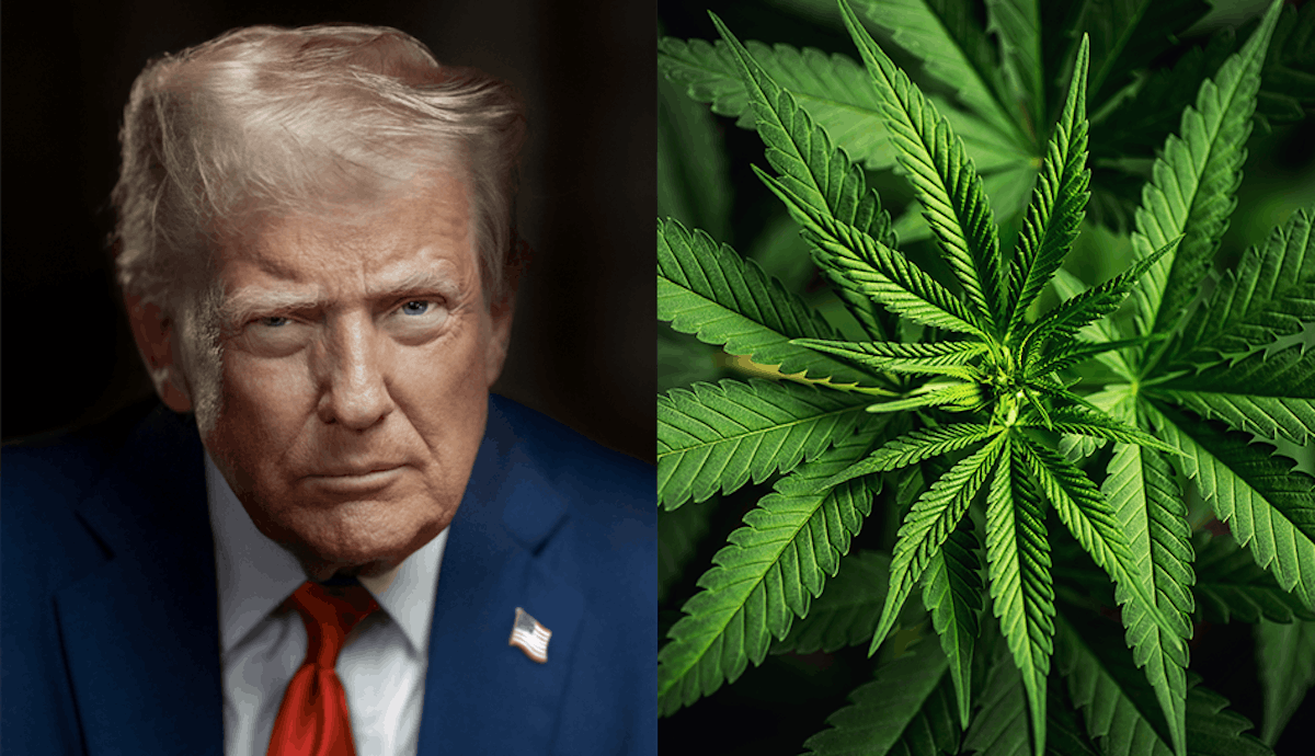 With DEA Head in Place, Trump Now Ready to ‘Look at’ Cannabis Rescheduling