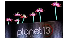 Giant Rooftop Led Lotus Flowers P13