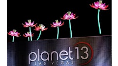 Giant Rooftop Led Lotus Flowers P13