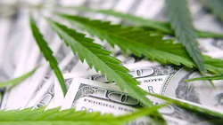 Mj Money 262881844