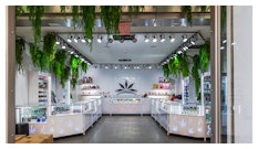 Ny Dispensary 1310353070 Editorial Use Only