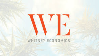 We Logo
