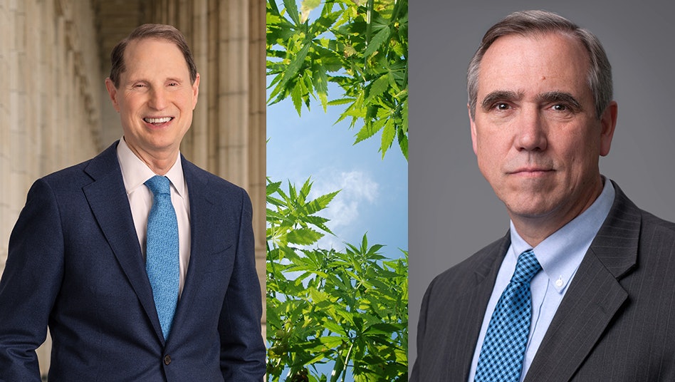 8 US Senators Tell Party Leaders to Regulate Hemp, Not Ban It