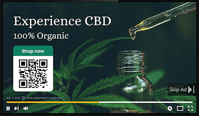 Digital Ad Canva