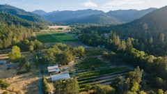 East Fork Cultivars' Oregon farm, where the team is battling aphids again this year.