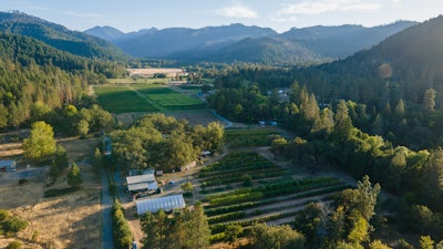 East Fork Cultivars' Oregon farm, where the team is battling aphids again this year.