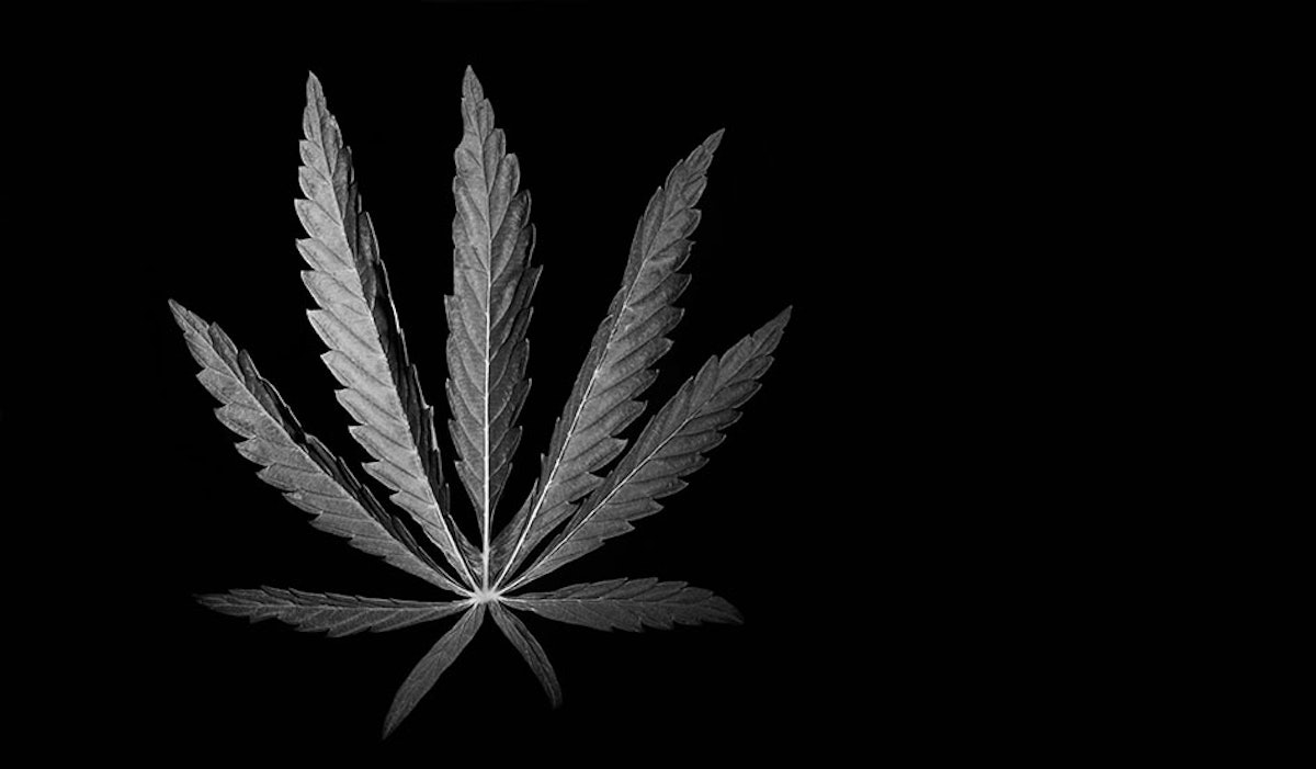 Massachusetts AG Approves Ballot Petition to End $1.6B Adult-Use Cannabis Market