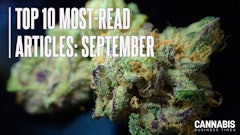 Top10 Display Sept 2025