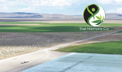 True Harmony Company Display