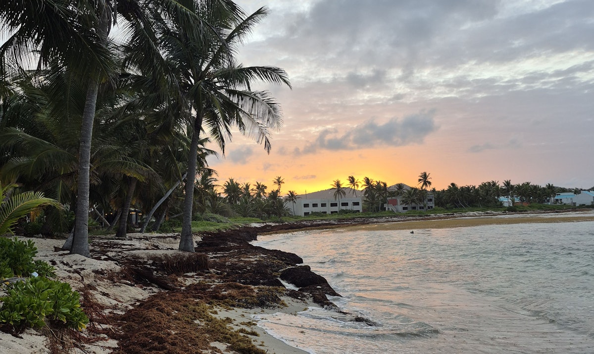 Caribbean Cannabis: A Local Look at the U.S. Virgin Islands