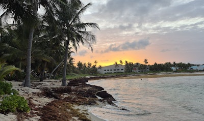 Usvi Display