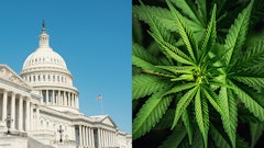 Capitol Mj 966470560