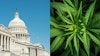 Capitol Mj 966470560