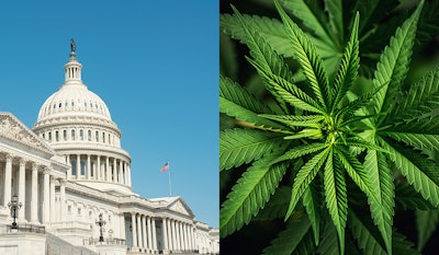 Capitol Mj 966470560
