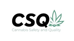 Csq Logo