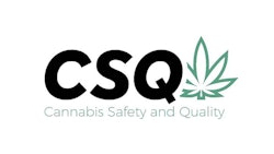 Csq Logo