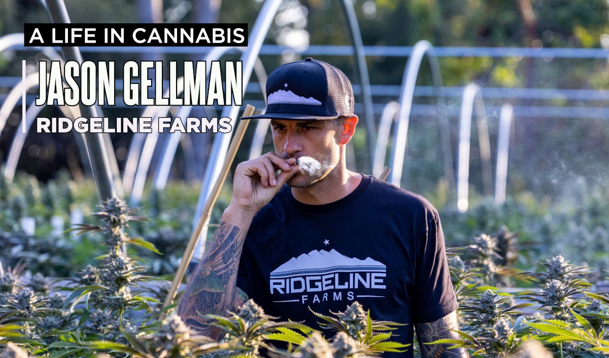 Lifelong Humboldt County Cultivator Goes Global to Fight Cratering Prices