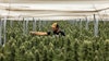Raw Garden Farm