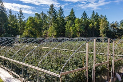 Ridgeline Farms in Southern Humboldt County
