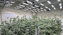 San Light Display 0426