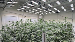 San Light Display 0426