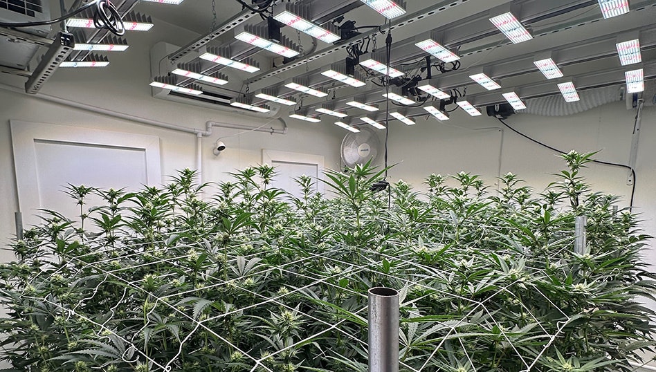 Leading Plant Nutrient Manufacturer Hydroponic Research Illuminates Production With Austrian LED Lighting Giant SANLight