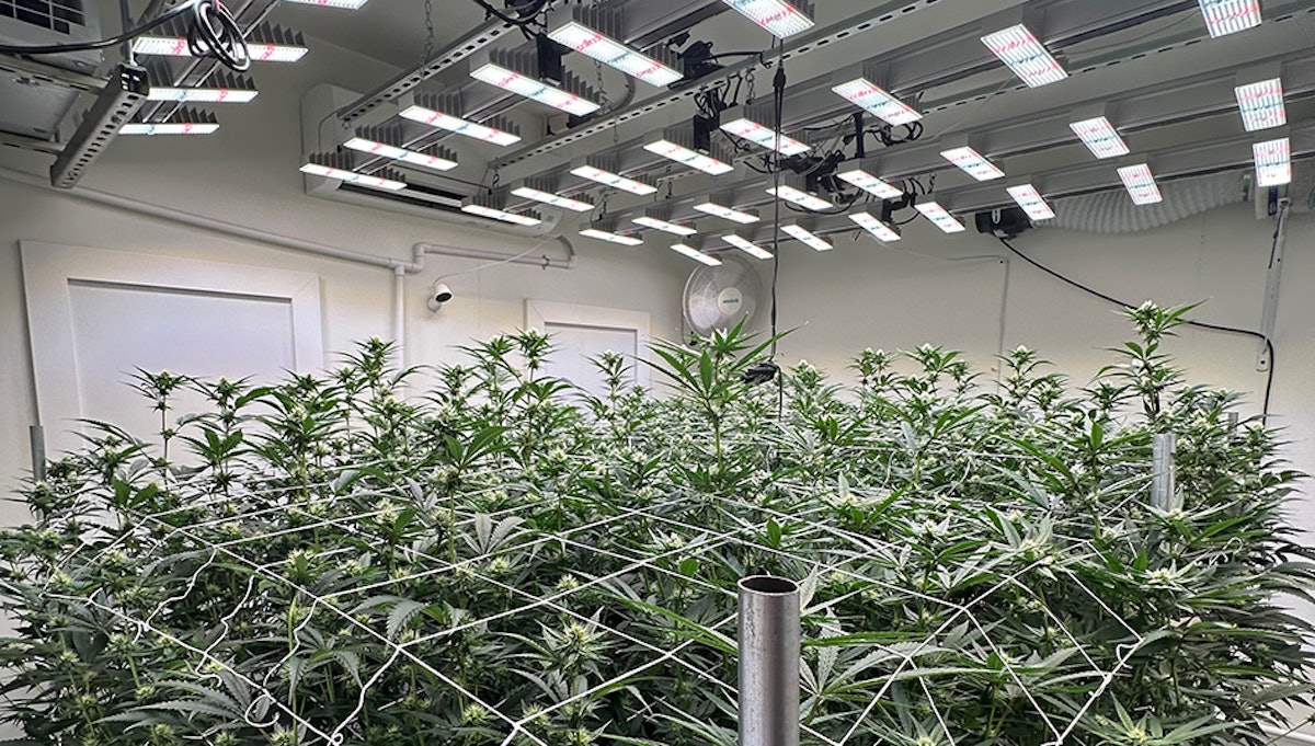 Leading Plant Nutrient Manufacturer Hydroponic Research Illuminates Production With Austrian LED Lighting Giant SANLight