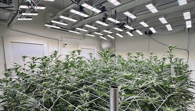 San Light Display 0426