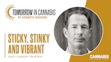 Tic What Happened To The Sticky, Aromatic Cannabis Buds From The Mid 1990s