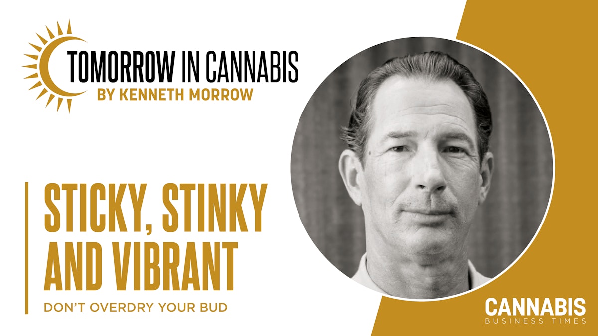 What Happened to the Sticky, Aromatic Cannabis Buds From the Mid-1990s?