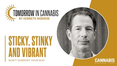 Tic What Happened To The Sticky, Aromatic Cannabis Buds From The Mid 1990s