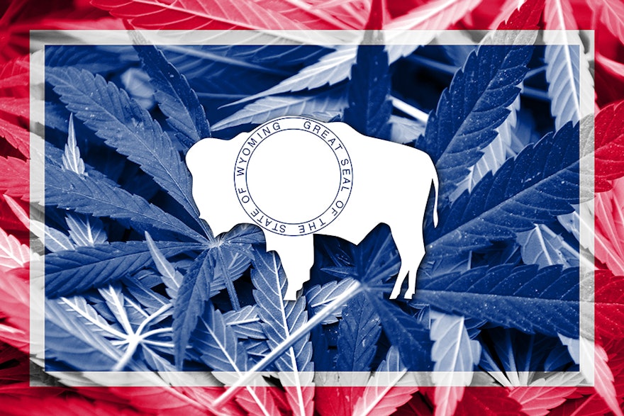 10th Circuit Court Rules 2018 Farm Bill Does Not Preempt Wyoming Hemp THC Laws 10th Circuit Court Rules 2018 Farm Bill Does Not Preempt Wyoming Hemp THC Laws