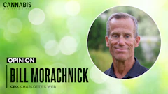 Bill morachnick Display