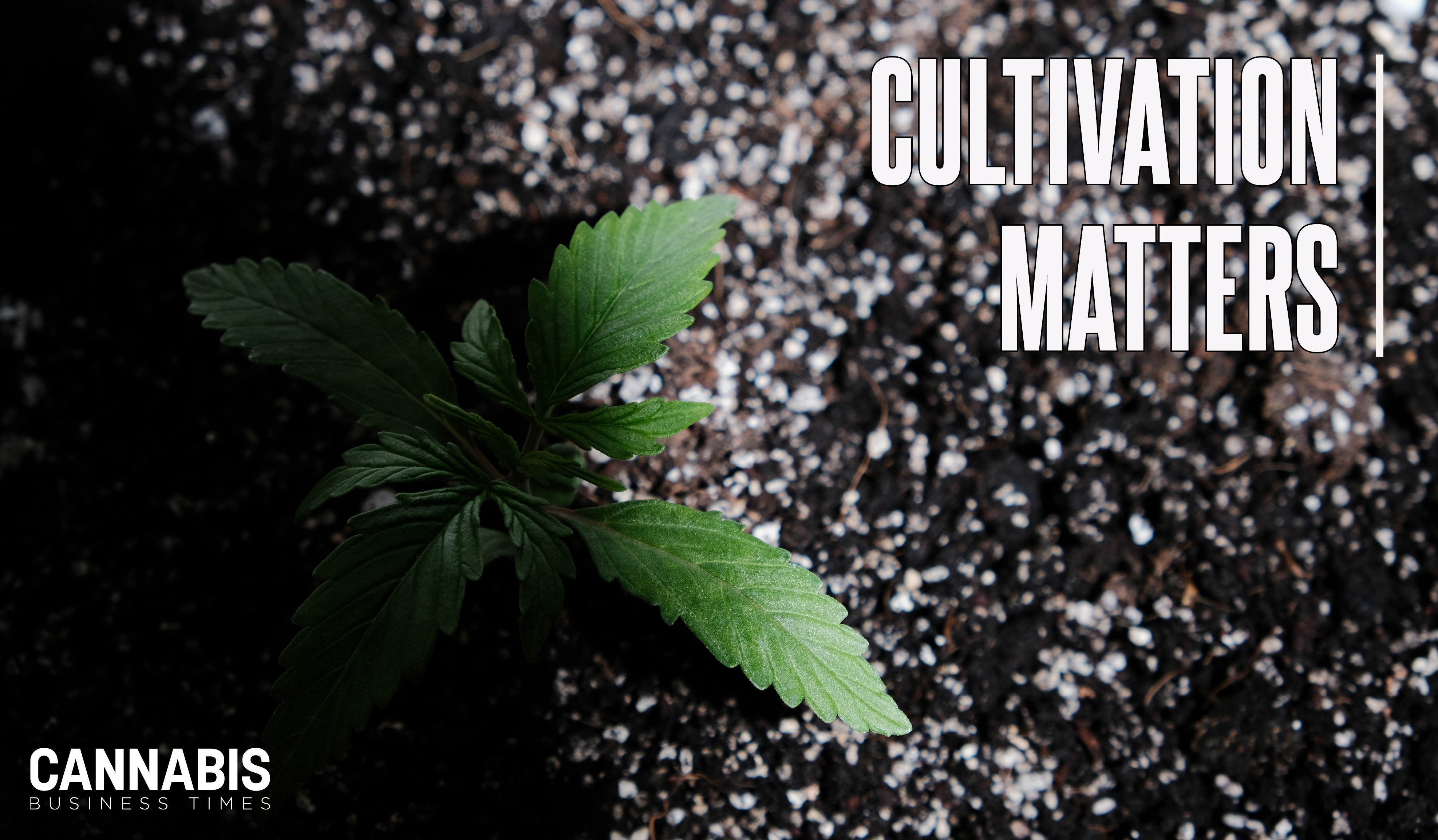 Cultivation Matters Cannabis Substrate
