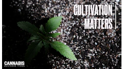 Cultivation Matters Cannabis Substrate