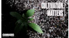 Cultivation Matters Cannabis Substrate