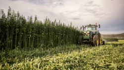 A harvest team cuts an industrial hemp fiber crop in Montana. Hemp fiber has many uses from textiles and nonwovens to building materials and bio-composites.