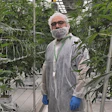 Cannara VP of Production and Experimentation Issam Ben Moussa