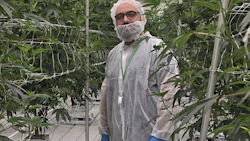 Cannara VP of Production and Experimentation Issam Ben Moussa