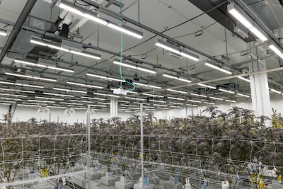 Inside Light Sky Farms