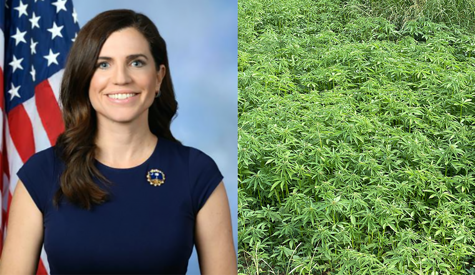 Hemp-Derived THC Products Now Illegal in California After OAL