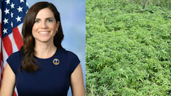 U.S. House Rep. Nancy Mace, R-S.C.