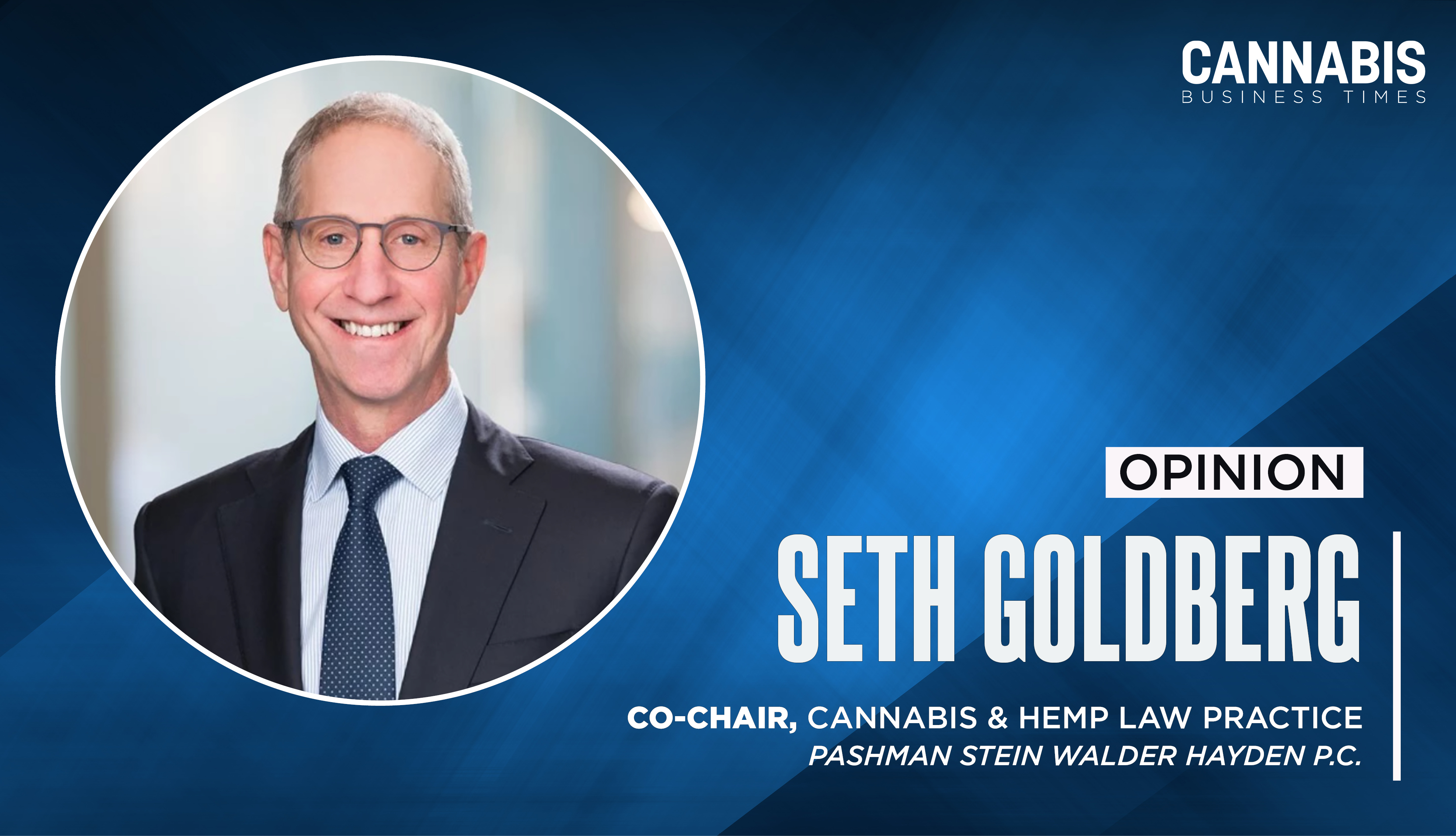 Seth Goldberg Opinion