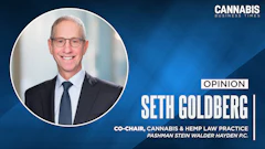 Seth Goldberg Opinion