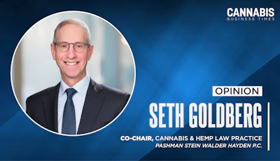 Seth Goldberg Opinion